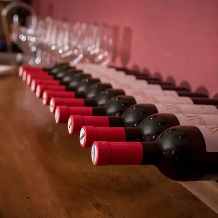 Ninon Dubrovnik - Adults Only Bed & Breakfast